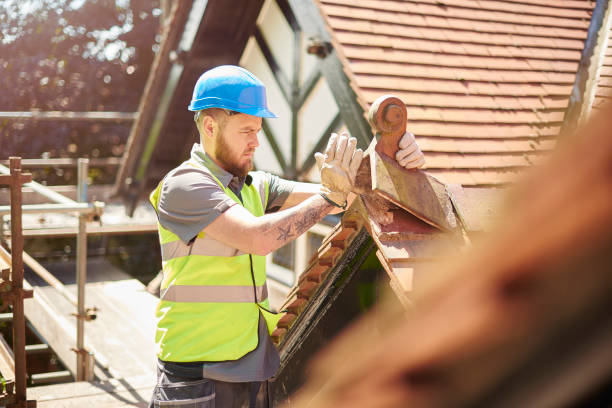 Best Residential Roof Replacement  in Franklin Park, FL