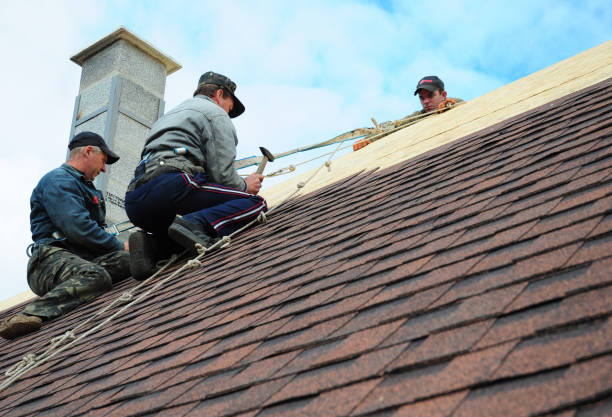 Best Commercial Roofing Services  in Franklin Park, FL